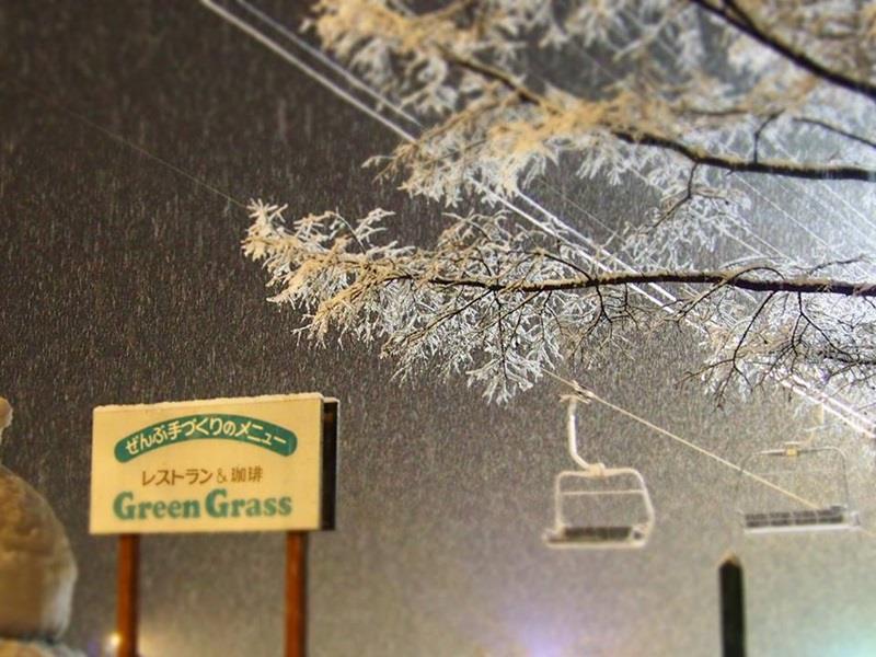 Pension & Restaurant Green Grass Hakuba Bagian luar foto